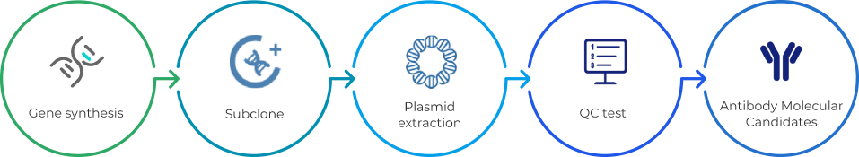 Gene to plasmid service workflow