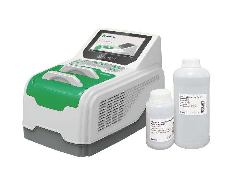 eBlot™ Starter Kit