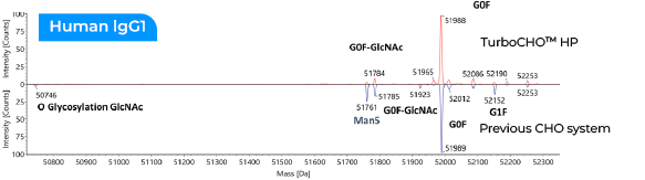 TurboCHO™ system analysis- Human lgG