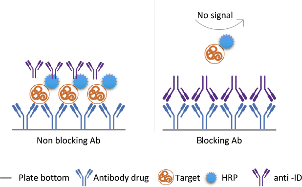 None Blocking& Blocking Ab