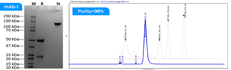 Rabbit mAb production tested in the TruboCHO™ HP platform