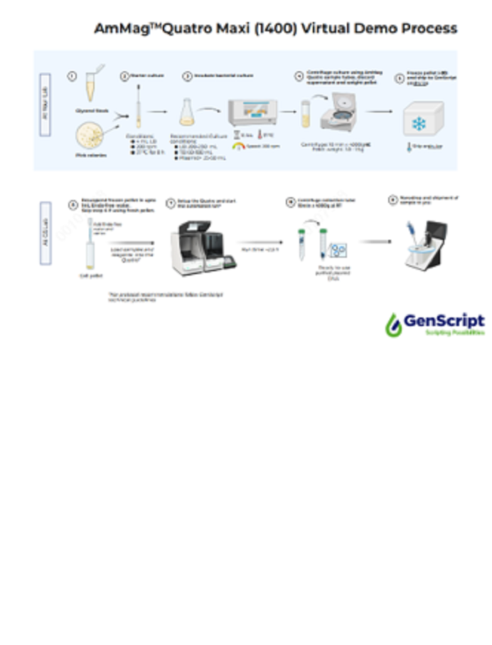 GenScript’s AmMag™ Quatro Brochure