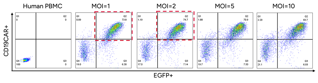 The Average P24 Titer  