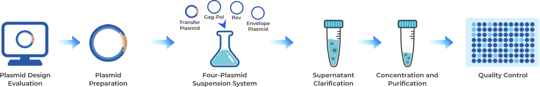 Lentiviral Packaging Workflow