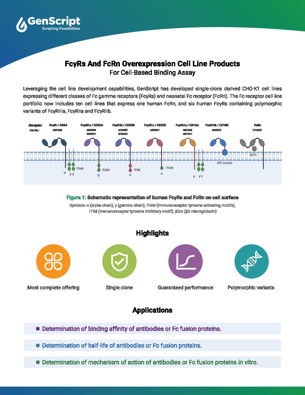 FcR Cell Lines Flyer