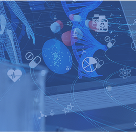 Rabbit Monoclonal Antibodies