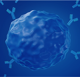 THE Elite Antibodies