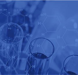 Primary
                    Antibodies