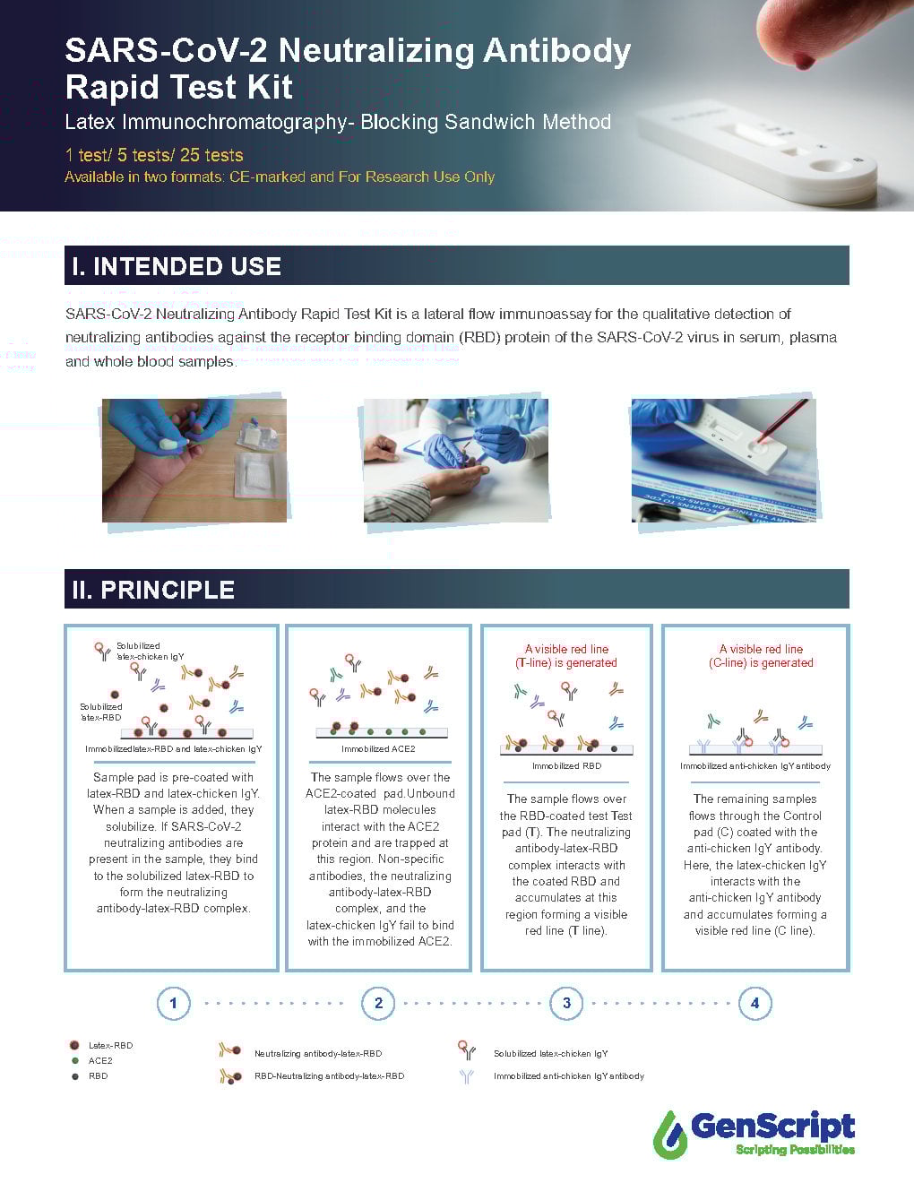 SARS-CoV-2 NAb Rapid Test Kit Flyer