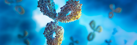 Therapeutic Antibody Development: Innovations, Trends, and Future Projections