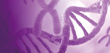 이중항체 생산 최적화을 위한 차세대 발현 플랫폼 전략: TurboCHO™ 및 Cell-Free expression 기반 솔루션