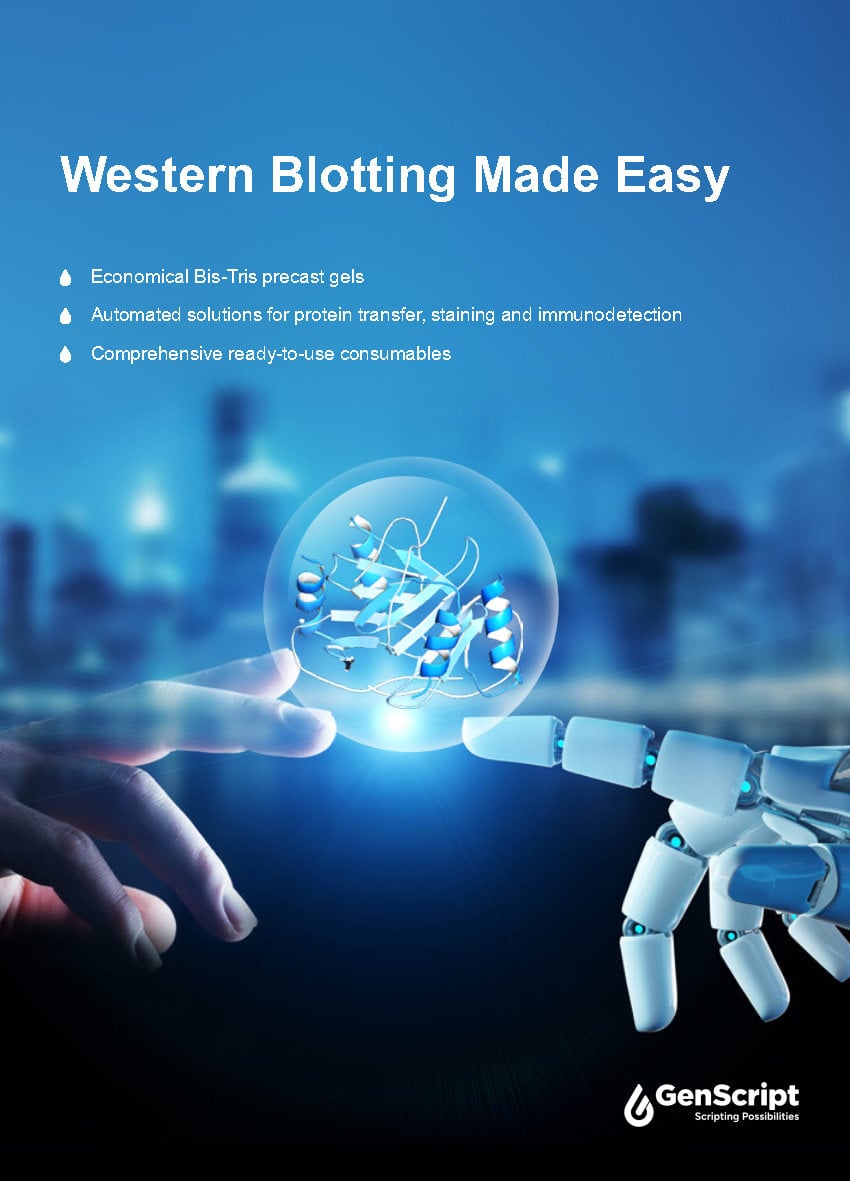 Western Blotting Brochure