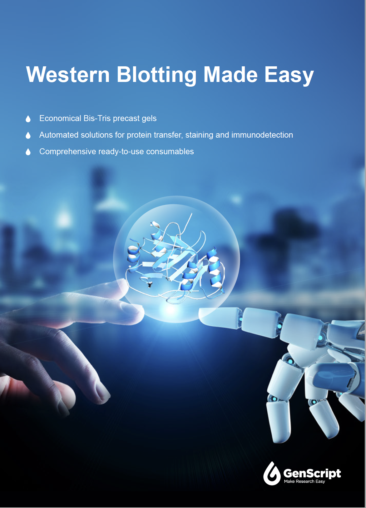 Western Blotting Made Easy